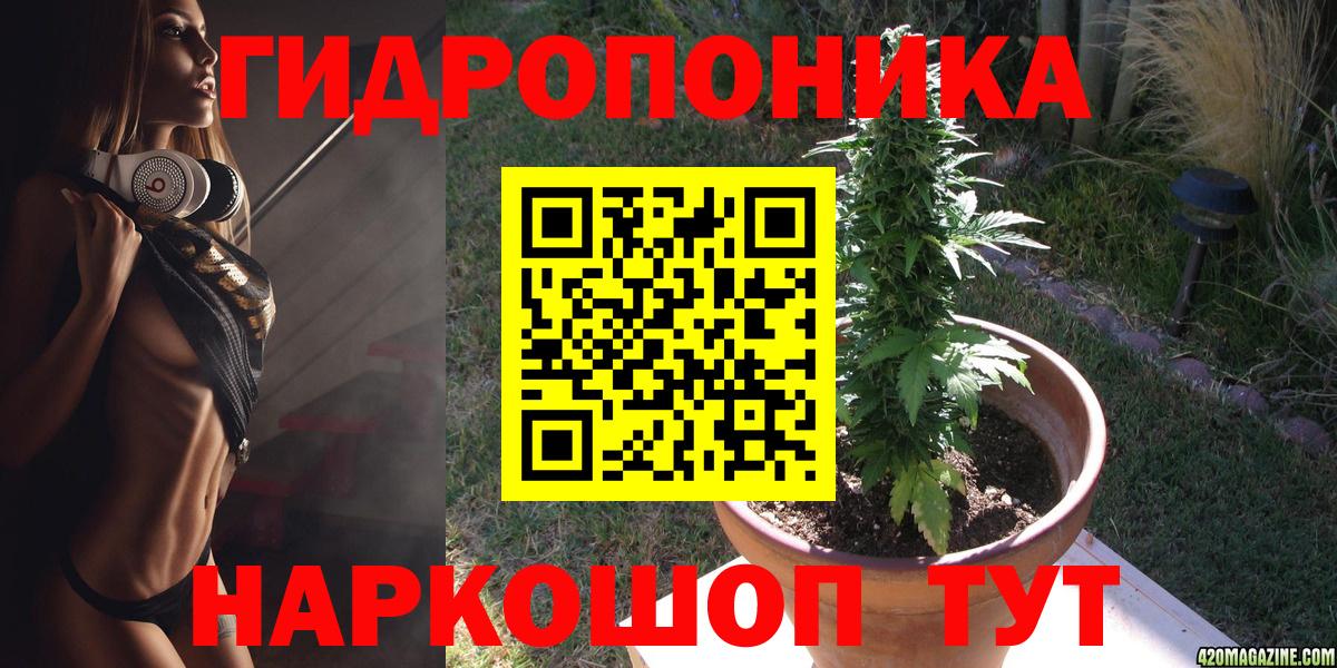 Конопля AK-47  Марихуана гибрид  Вход с VPN  Усть-Джегута 